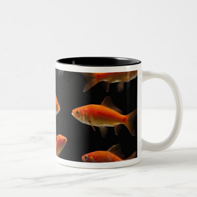 Taza Bicolor Goldfish 2 (Derecha)