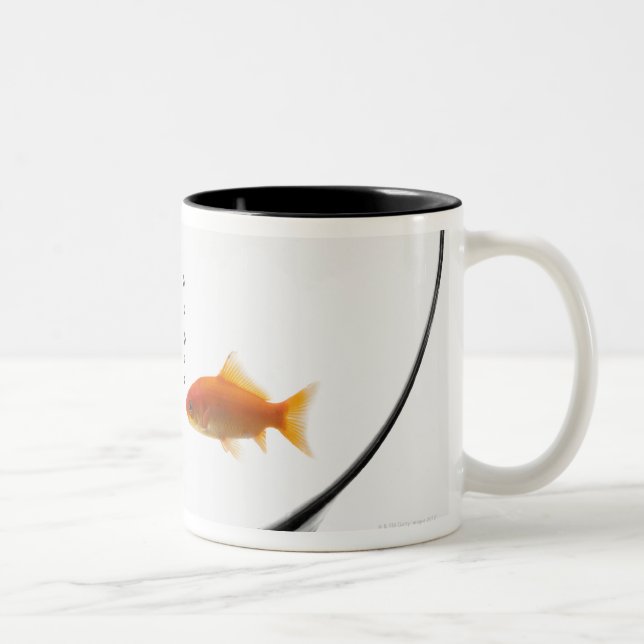 Taza Bicolor Goldfish en cuenco (Derecha)