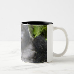 Taza Bicolor Gorila de montaña y dorso plateado