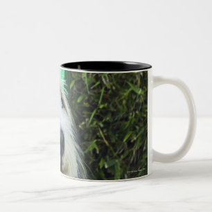 Taza Bicolor Gorra del fiesta del perro que lleva