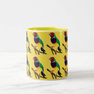 Taza Bicolor ~ Gouldian Finch ~ Arte Original ~ Café de dos ton