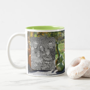 Taza Bicolor Gouras Y Calabazas Caen Añadir Tu Foto