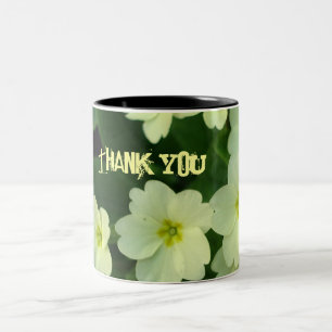 Taza Bicolor Gracias asaltar