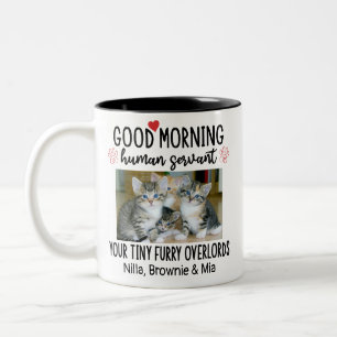 Taza Bicolor Gracioso Personalizado 2 Fotos de Gato Mug para lo