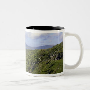 Taza Bicolor Gran Bretaña, Reino Unido, Escocia. En la
