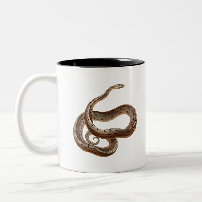 Taza Bicolor Gran serpiente (Izquierda)