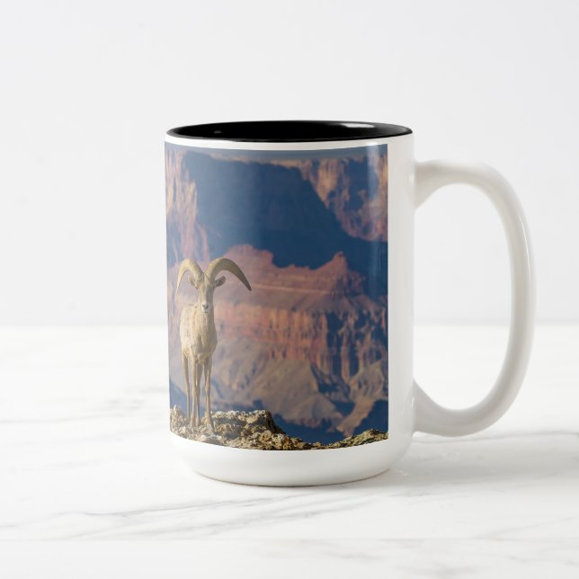 Taza Bicolor Gran Vista Café Mug (Derecha)