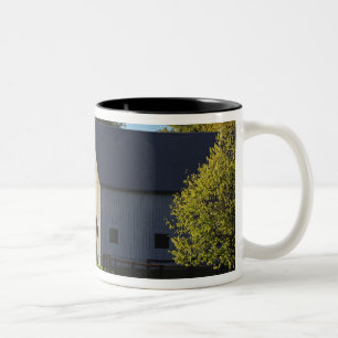 Taza Bicolor Granero en una granja de caballos pura sangre al a