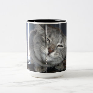 Taza Bicolor Grasando Gato Después De Beber Del Golpe De Cocina