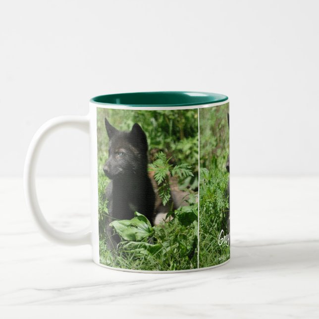 Taza Bicolor Gray Wolf Pup Wildlife Photographer Mug (Izquierda)