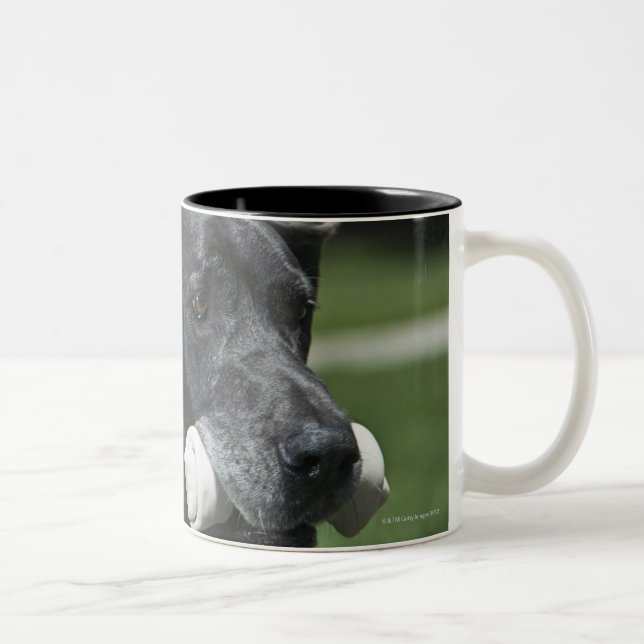 Taza Bicolor Great dane con el hueso (Derecha)