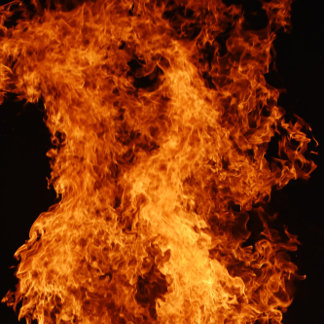 Taza Bicolor Green Love