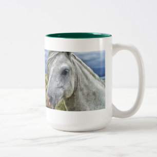 Taza Bicolor Gris / Mugre blanca de caballo