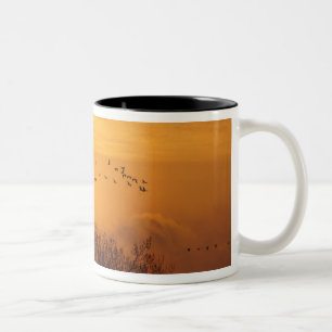 Taza Bicolor Grullas siluetadas contra el sol naciente