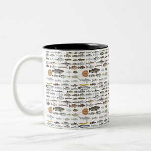 Taza Bicolor Grupo de Peces de Agua Dulce de Australia