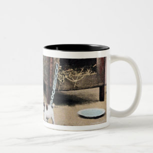 Taza Bicolor Guárdese de muestra del perro con el pequeño per