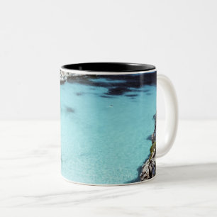 Taza Bicolor Guay Seascape