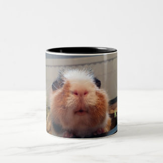 Taza Bicolor Guinea pig kiss mug
