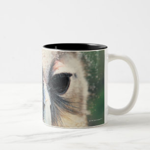 Taza Bicolor Guiño del búho