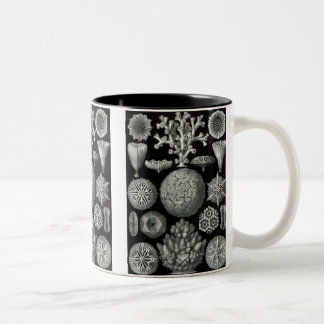 Taza Bicolor Haeckel Negativo