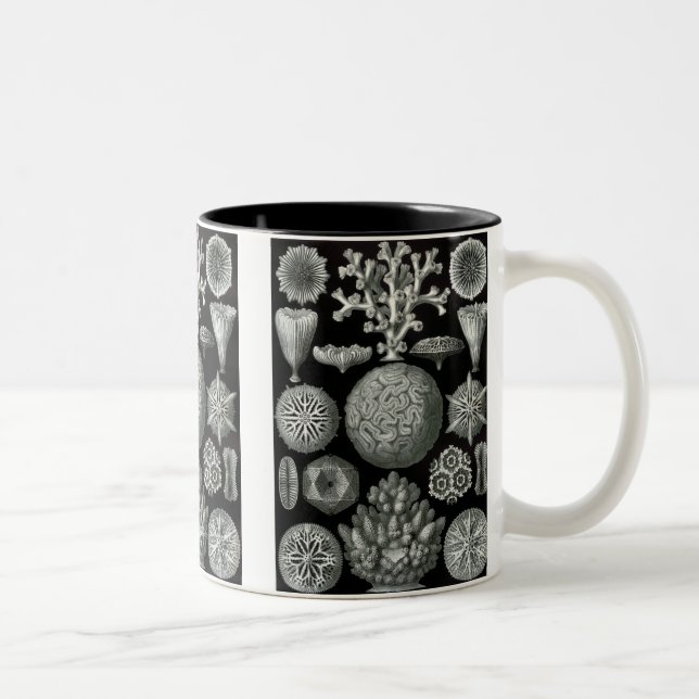 Taza Bicolor Haeckel Negativo (Derecha)