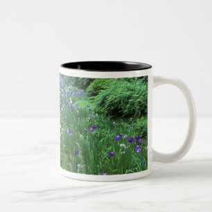 Taza Bicolor Hana Shobu (Iris japonés de agua), santuario Meij