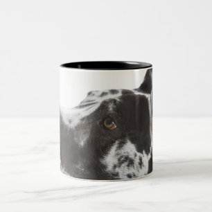Taza Bicolor Harlequin great dane