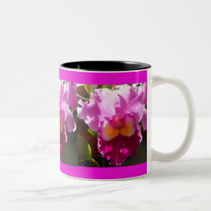 Taza Bicolor Harlinde