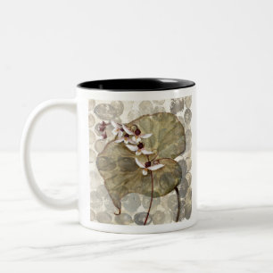 Taza Bicolor HAZ24 Amazonia 2.tif