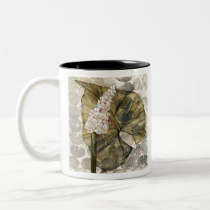 Taza Bicolor HAZ25 Amazonia 3.tif