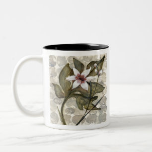 Taza Bicolor HAZ26 Amazonia 4.tif