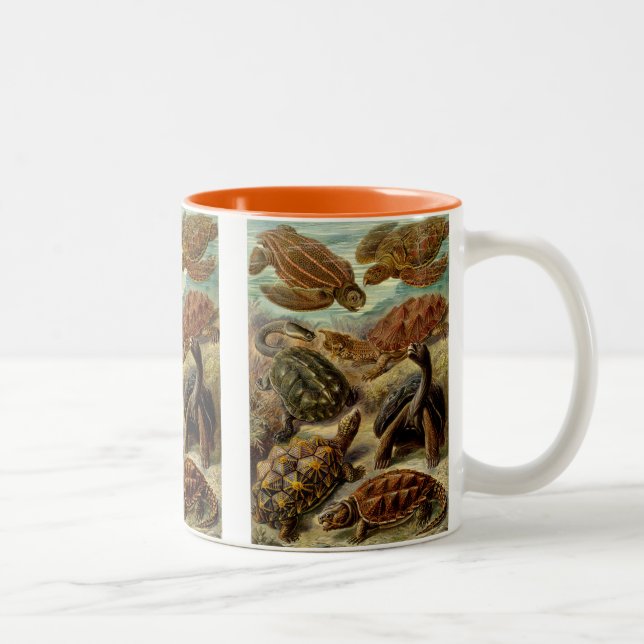 Taza Bicolor Heckel Turtles (Derecha)