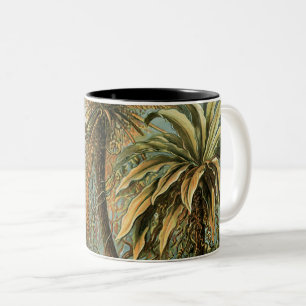 Taza Bicolor Helechos Palma Árbol Antiguo Arte Botánico Helecho