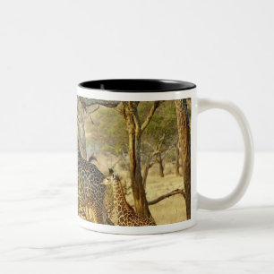 Taza Bicolor Hembra adulta y jirafa joven, Giraffa