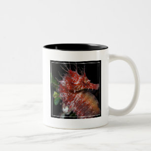 Taza Bicolor Hembra Begur del potro del Seahorse el  