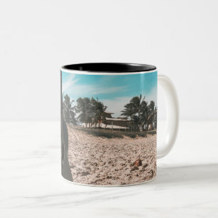 Taza Bicolor Hermosa guitarra acústica