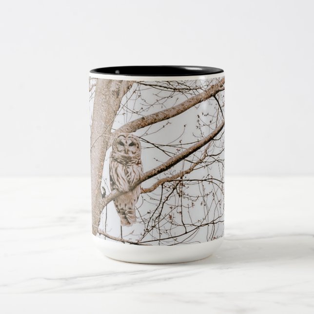 Taza Bicolor Hermosa Lechuza Barrada Audubon (Centro)