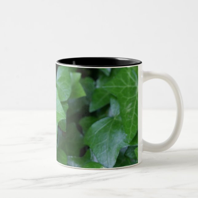 Taza Bicolor Hermosa marfil verde (Derecha)