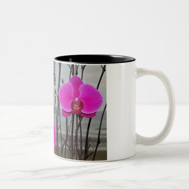 Taza Bicolor Hermosa orquídea rosa (Derecha)