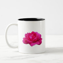 hermosa rosa rosa sola