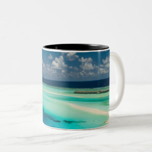 Taza Bicolor Hermosas criaturas oceánicas