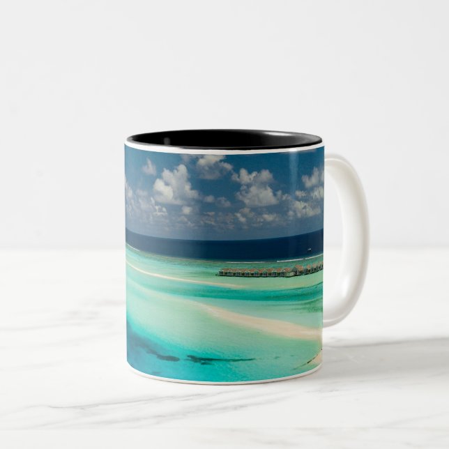 Taza Bicolor Hermosas criaturas oceánicas (Anverso derecho)