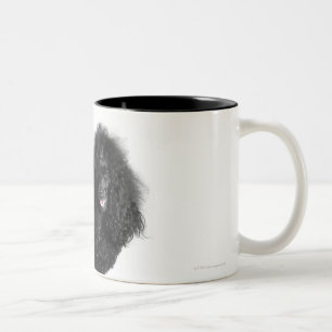 Taza Bicolor Hermoso, arreglado, negro, cuerpo completo del