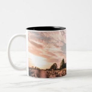 Taza Bicolor hermoso cielo sobre la llanura