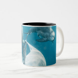 Taza Bicolor Hermoso delfín lindo