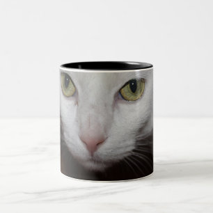 Taza Bicolor Hermoso gato blanco