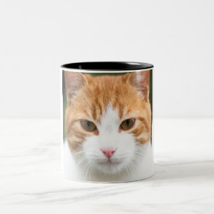 Taza Bicolor Hermoso gato rojo
