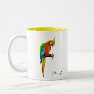 Taza Bicolor Hermoso loro multicolor