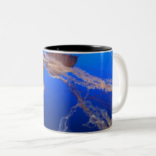 Taza Bicolor Hermoso paisaje marino