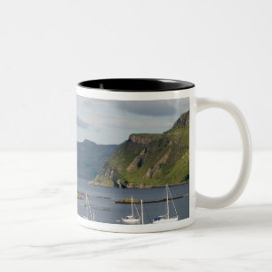 Taza Bicolor Hermoso puerto y veleros con reflejos en